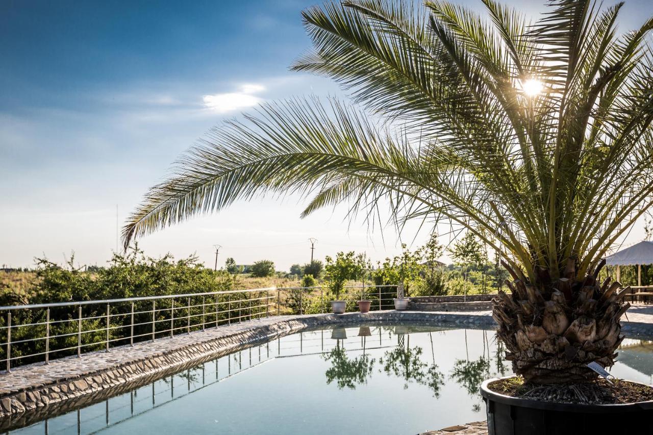 Country Spa Retreat Snagov Exterior foto The pool at the hotel
